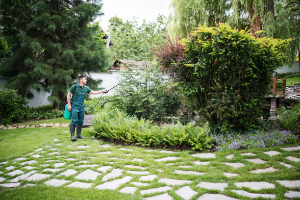 Best Rodent Control Near Me  in Great Neck Estates, NY